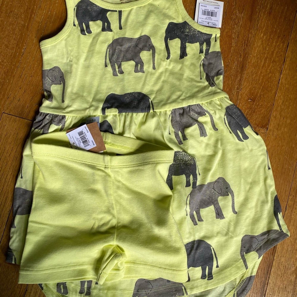 Tea Collection Dress (size 4) and Shorts (size 5)